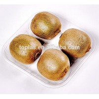 Food Grade Disposable PET fruit tray